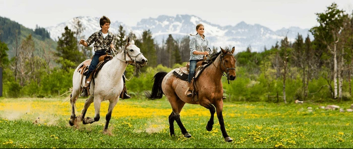 Confident plus-size woman riding Malvern Link a horse through a field with a smile on her face.